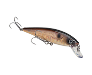 Strike King KVD Jerkbait 200
