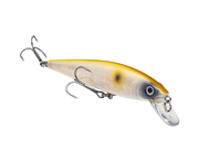 Strike King KVD Jerkbait 200