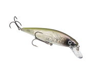 Strike King KVD Jerkbait 200