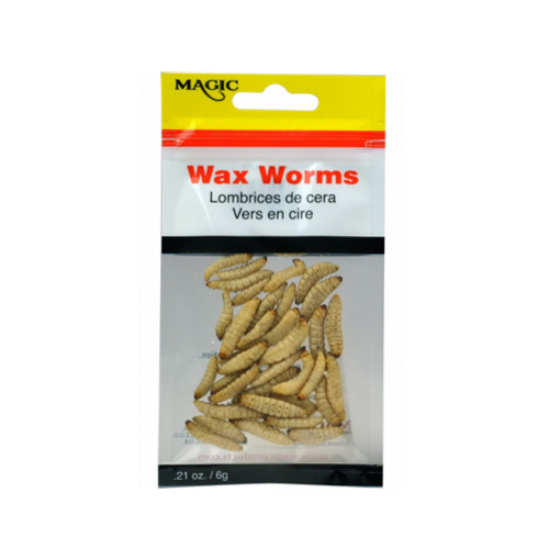 Magic Preserved Wax Worms