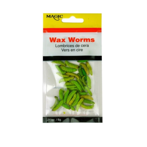 Magic Preserved Wax Worms